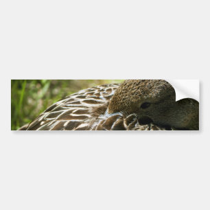 Adesivo Para Carro Pato
