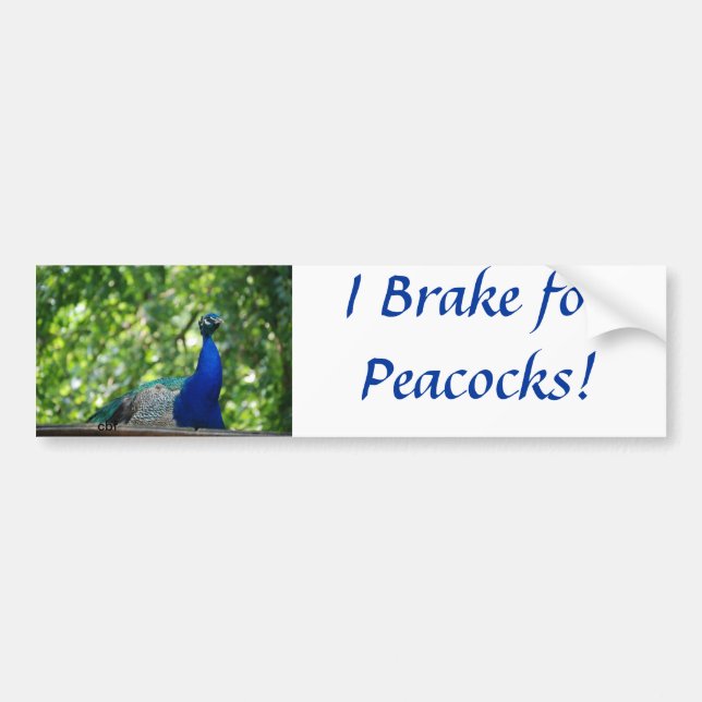 Adesivo Para Carro Pavão (Frente)