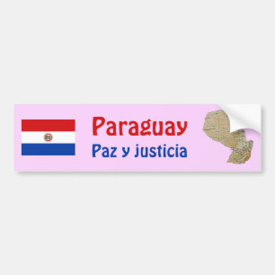 Adesivo Para Carro Pavilhão do Paraguai e palheta de botas
