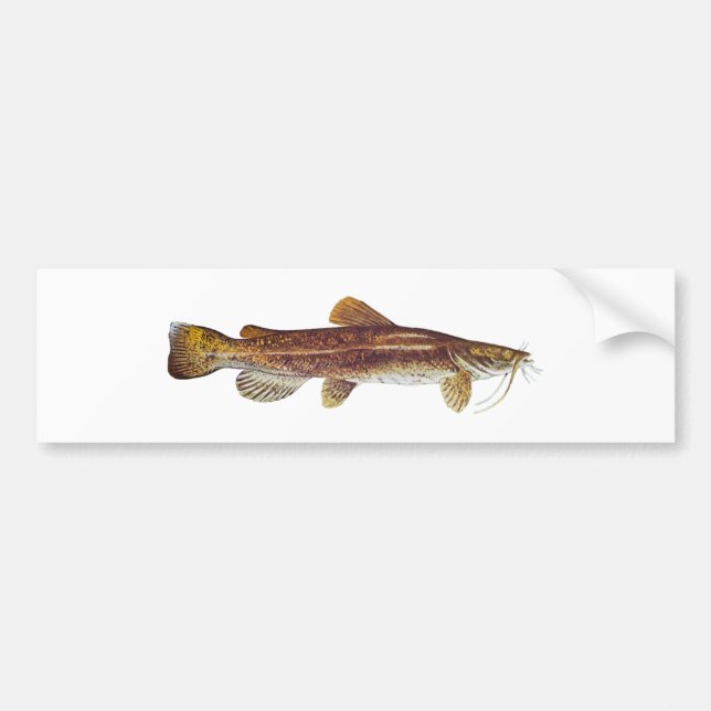 Adesivo Para Carro Peixe-gato Flathead (Frente)