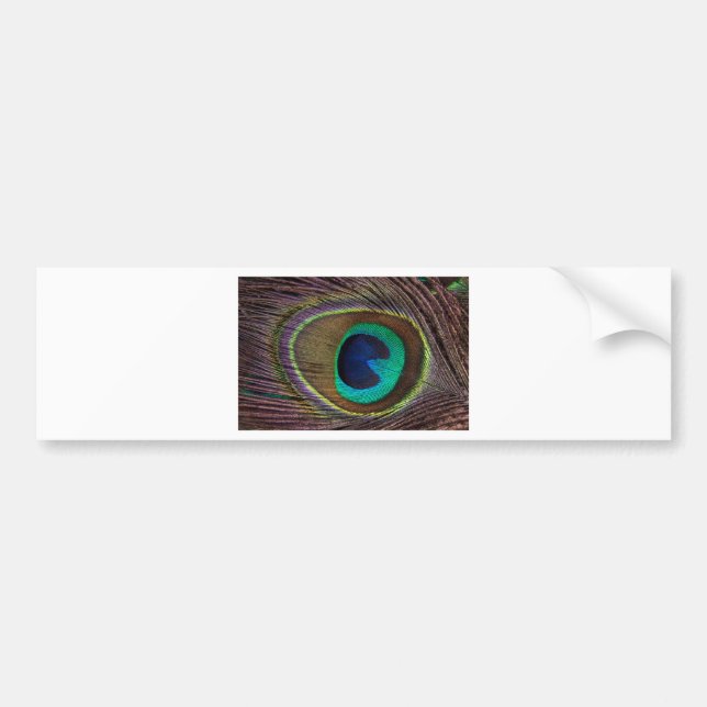 Adesivo Para Carro pena de paz (Frente)