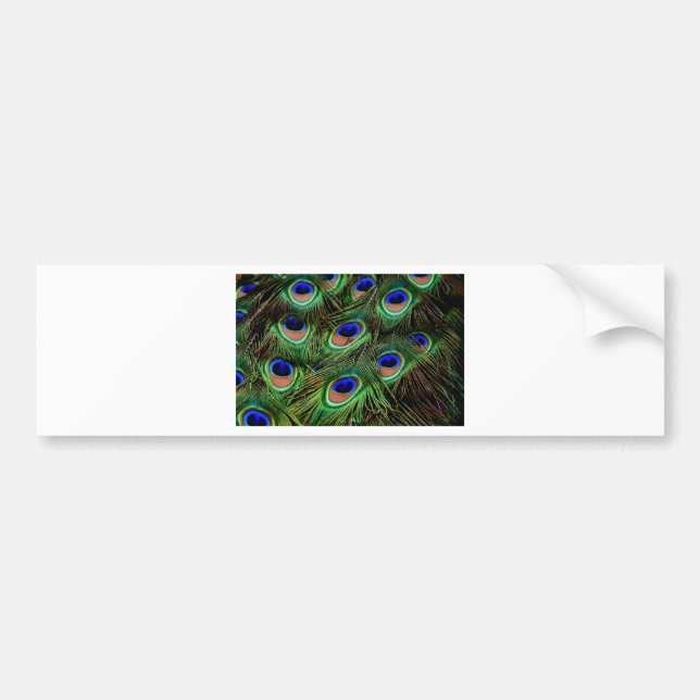 Adesivo Para Carro Penas de Peacock (Frente)
