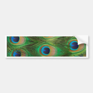 Adesivo Para Carro Penas do pavão - Peafowl