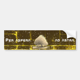 Adesivo Para Carro Per aspera e astra
