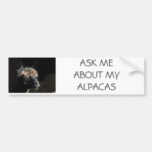 ADESIVO PARA CARRO PERGUNTE-ME SOBRE MINHAS ALPACAS