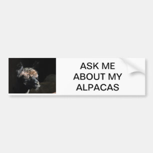 ADESIVO PARA CARRO PERGUNTE-ME SOBRE MINHAS ALPACAS