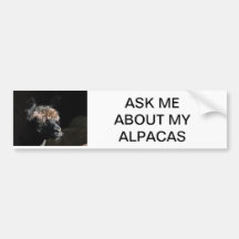 PERGUNTE-ME SOBRE OS MEUS ALPACAS
