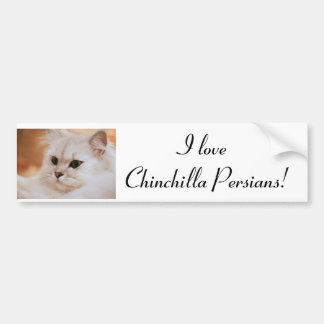 Adesivo Para Carro Persas da chinchila do ~ de Freddie
