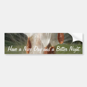 Adesivo Para Carro Personalizar produto