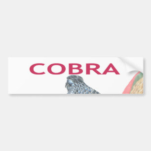 Adesivo Para Carro Personalizar produto