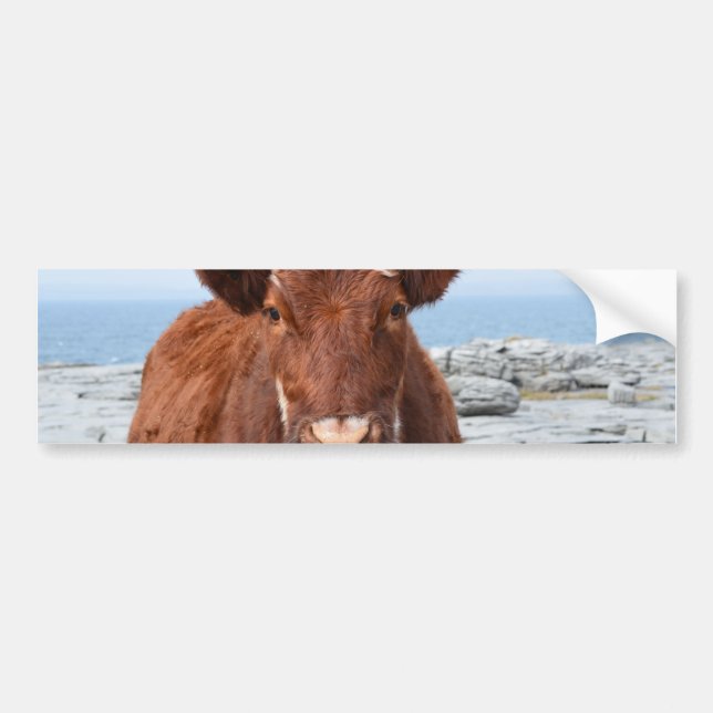 Adesivo Para Carro Personalize o produto (Frente)