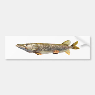Adesivo Para Carro Pesca de Pike Muski