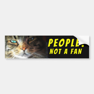Adesivo Para Carro Pessoas? Não um gato Meme do fã