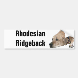Adesivo Para Carro Pet Ridgeback Dog Picture