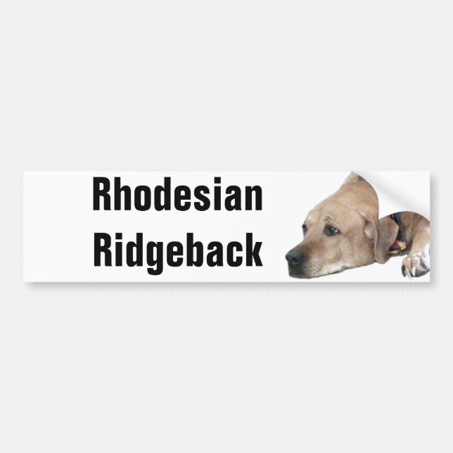 Adesivo Para Carro Pet Ridgeback Dog Picture (Frente)