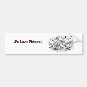 Adesivo Para Carro Pigeons de Tumbler de faces curtas