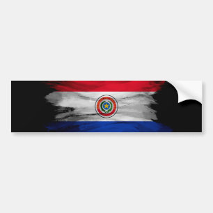 Adesivo Para Carro Pincel do Paraguai, bandeira nacional