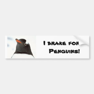 Adesivo Para Carro Pinguim-tastic