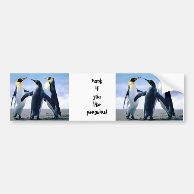 Adesivo Para Carro Pinguins (Frente)