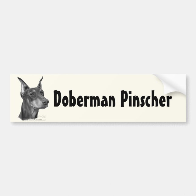 Adesivo Para Carro Pinscher do Doberman (Frente)