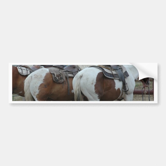 Adesivo Para Carro Pinte a cauda do cavalo (Frente)