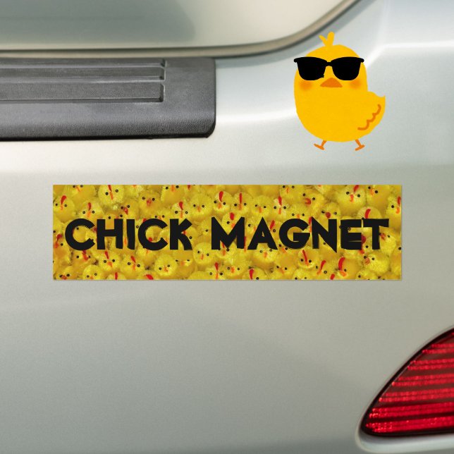 Adesivo Para Carro Pintinhos Amarelos da Piada MAGNET de PINTINHO Eng (A funny bumper sticker for the chick magnet in your life!)