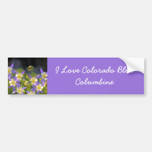 Adesivo Para Carro Pintura Columbina Azul do Colorado - Arte Original