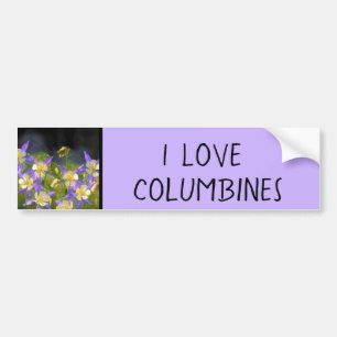 Adesivo Para Carro Pintura Columbina Azul do Colorado - Arte Original
