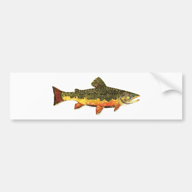 Adesivo Para Carro Pintura de Peixes de Brook Trout (Frente)
