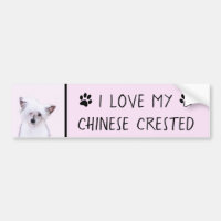 Pintura em Pó Chinês - Arte Canina