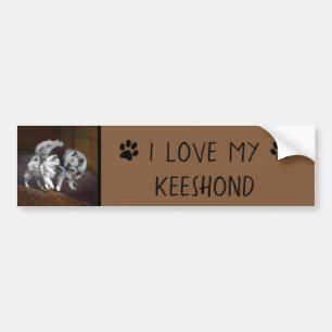 Adesivo Para Carro Pintura em tempo de reprodução de Keeshond - Art