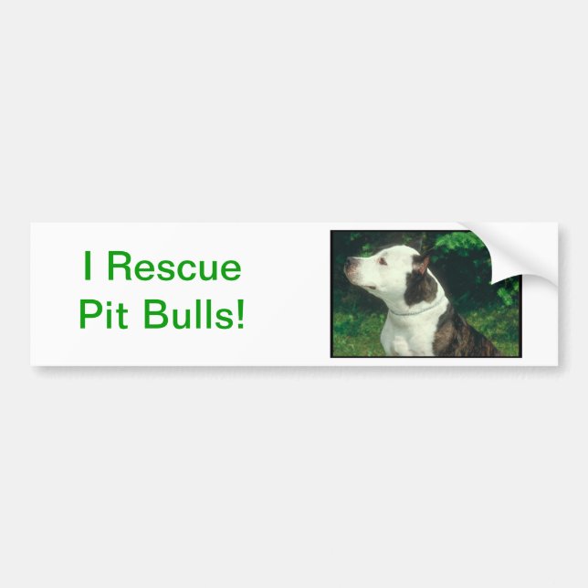Adesivo Para Carro Pitbull (Frente)