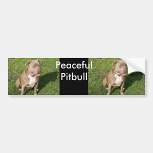 Adesivo Para Carro Pitbull calmo
