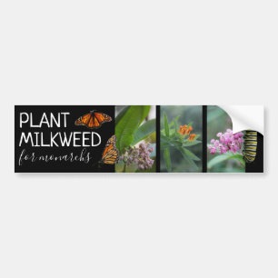Adesivo Para Carro Plante De Milkweed Para Fotos Personalizadas De Mo