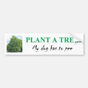 ADESIVO PARA CARRO PLANTE UMA ÁRVORE