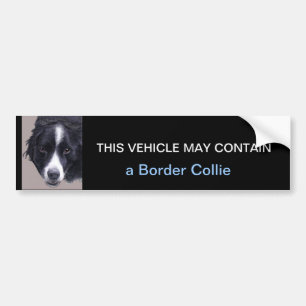 Adesivo Para Carro pode conter border collie
