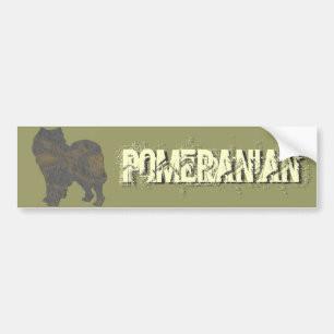 Adesivo Para Carro Pomeranian