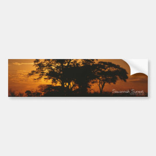 Adesivo Para Carro Por do sol do savana