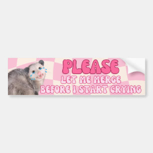 Adesivo Para Carro Por Favor, Deixe-Me Intercalar Antes De Começar A