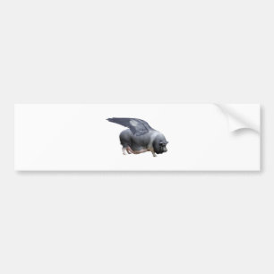 Adesivo Para Carro porco do vôo