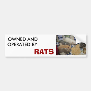 Adesivo Para Carro possuído e operado por RATOS