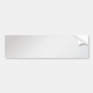 Adesivo Para Carro Prata