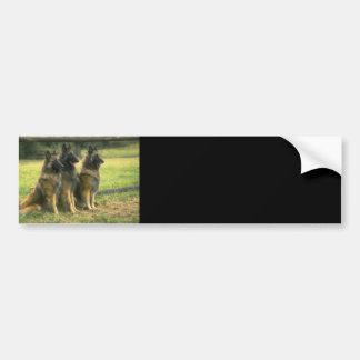 Adesivo Para Carro Presentes do german shepherd