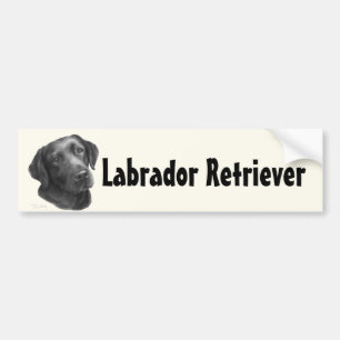 Adesivo Para Carro Preto/chocolate labrador retriever