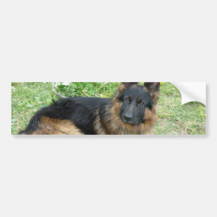 Adesivo Para Carro Preto e Alsatian de Tan