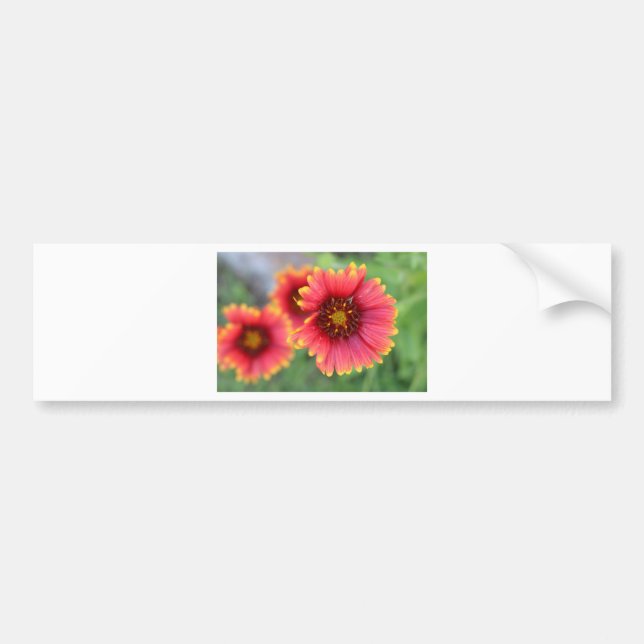 Adesivo Para Carro Primavera Bloom Pt 2 (Frente)