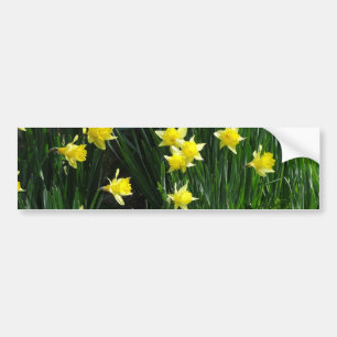 Adesivo Para Carro Primavera Daffodils
