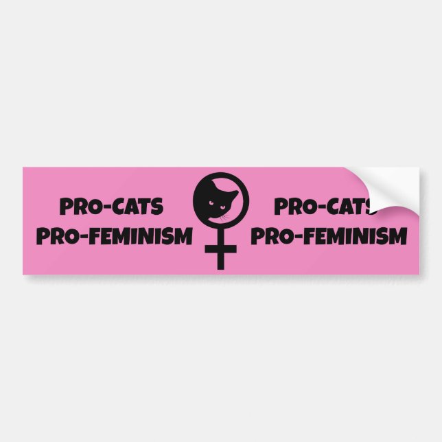 Adesivo Para Carro Pro Cats Pro Feminismo (Frente)