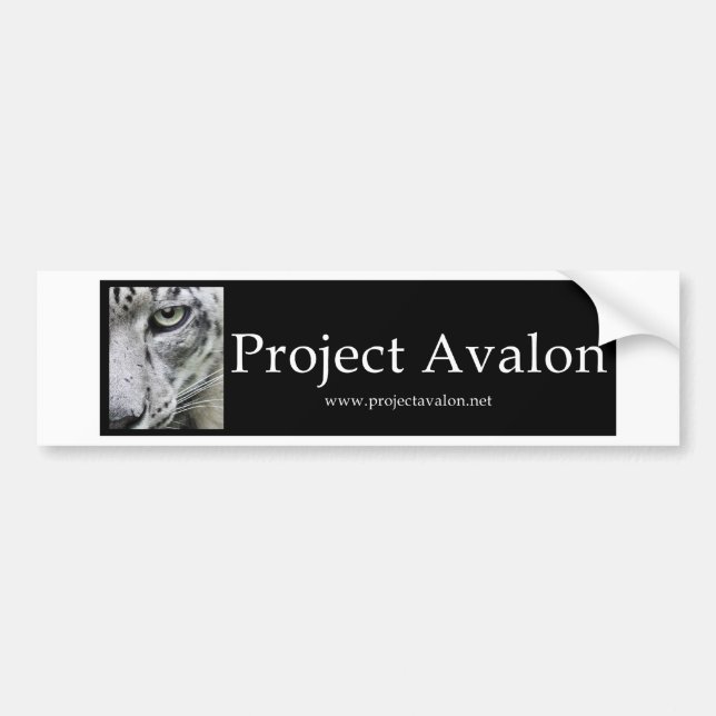 Adesivo Para Carro Projeto Avalon (autocolantes no vidro traseiro) (Frente)