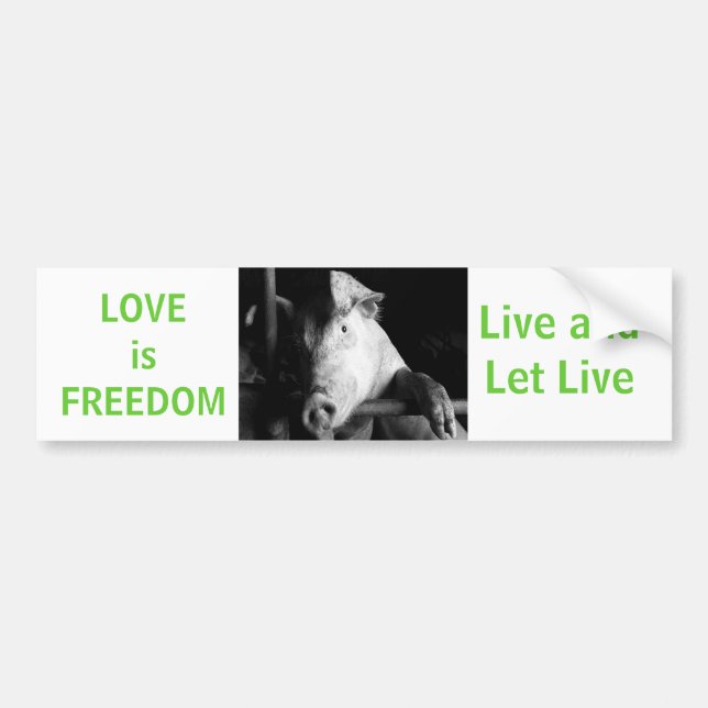 Adesivo Para Carro Proteção dos animais - Piggy Vegan Car Bumper Stic (Frente)